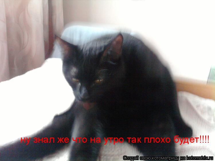 Котоматрица: ну знал же что на утро так плохо будет!!!!