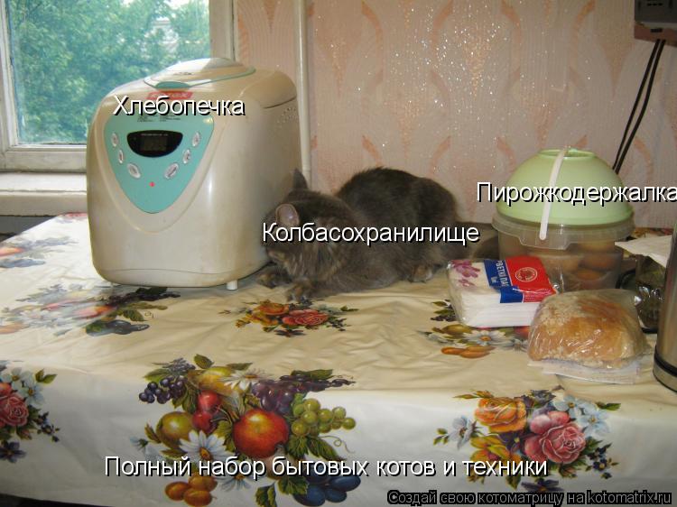 Котоматрица: Хлебопечка Колбасохранилище Пирожкодержалка Полный набор бытовых котов и техники