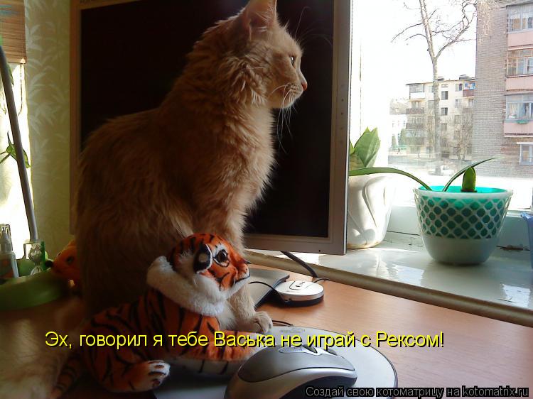 Котоматрица: Эх, говорил я тебе Васька не играй с Рексом!