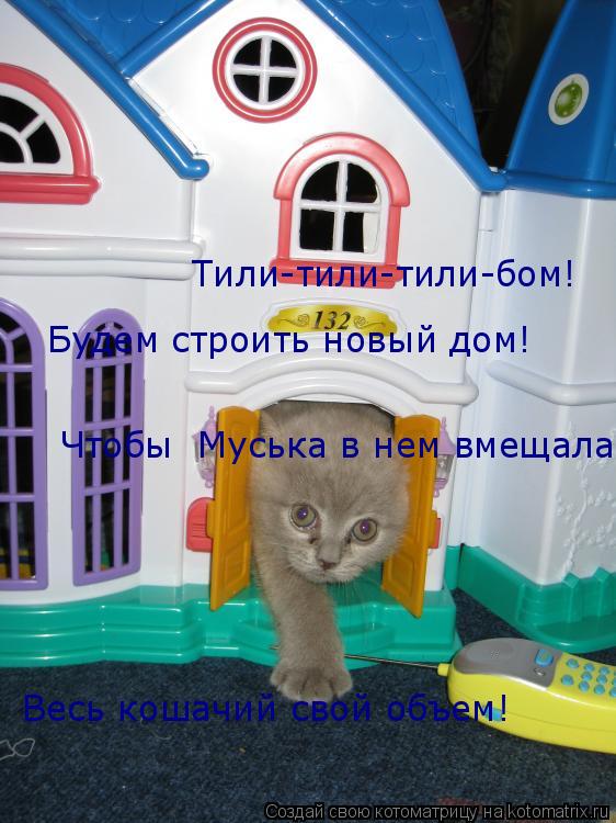 Котоматрица: Тили-тили-тили-бом! Будем строить новый дом! Чтобы  Муська в нем вмещала Весь кошачий свой объем!