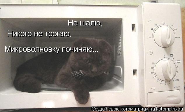 Котоматрица: Не шалю, Никого не трогаю, Микроволновку починяю...