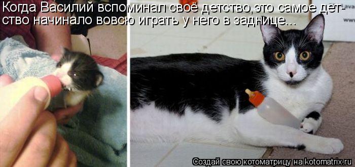 Котоматрица: Когда Василий вспоминал своё детство,это самое дет- ство начинало вовсю играть у него в заднице...