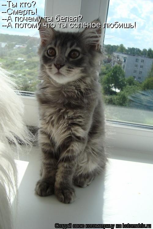 Котоматрица: --Ты кто? --Смерть! --А почему ты белая? --А потому что ты солёное любишь!