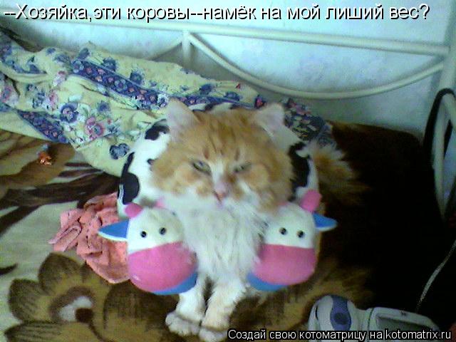 Котоматрица: --Хозяйка,эти коровы--намёк на мой лиший вес?