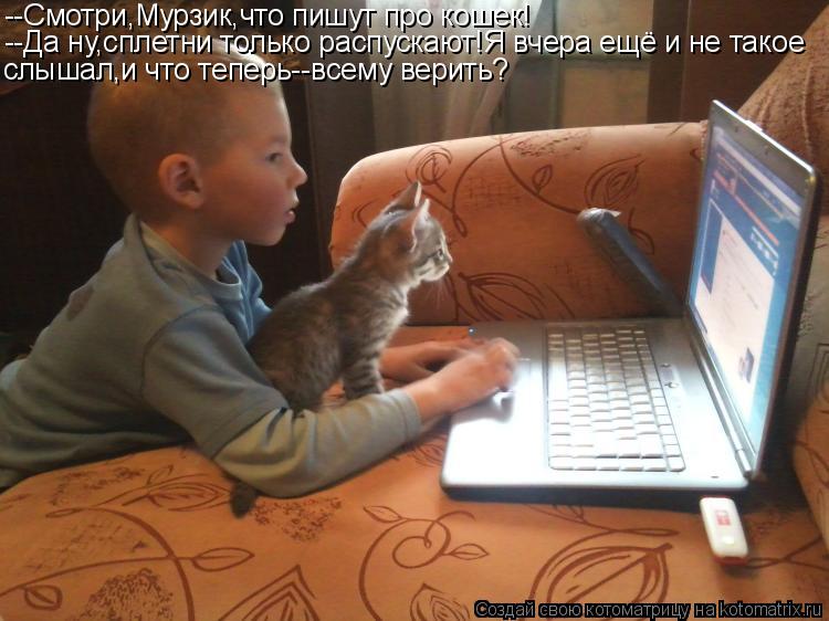 Котоматрица: --Смотри,Мурзик,что пишут про кошек! --Да ну,сплетни только распускают!Я вчера ещё и не такое слышал,и что теперь--всему верить?