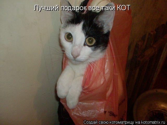 Лучший подарок все таки КОТ... Котоматрица: Лучший подарок все таки КОТ