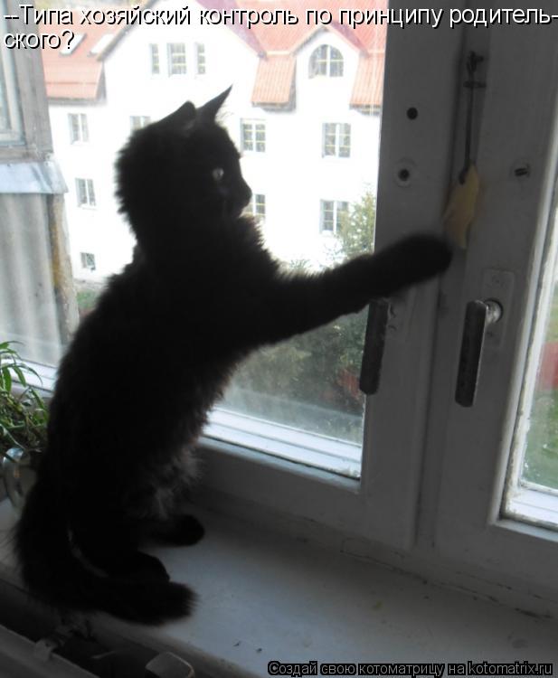 Котоматрица: --Типа хозяйский контроль по принципу родитель- ского?