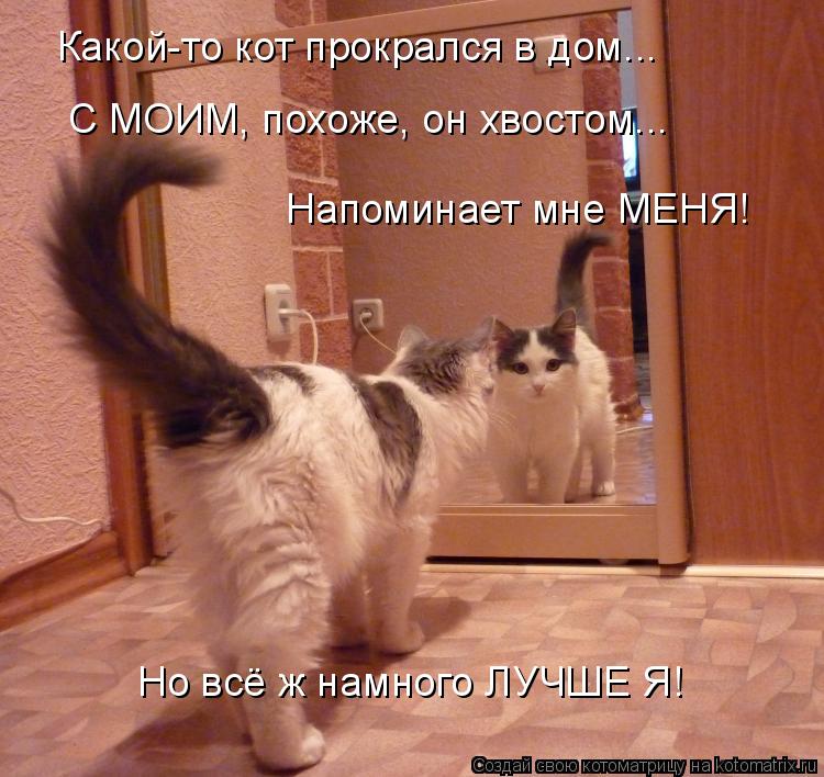 Котоматрица: Какой-то кот прокрался в дом... С МОИМ, похоже, он хвостом... Напоминает мне МЕНЯ! Но всё ж намного ЛУЧШЕ Я!