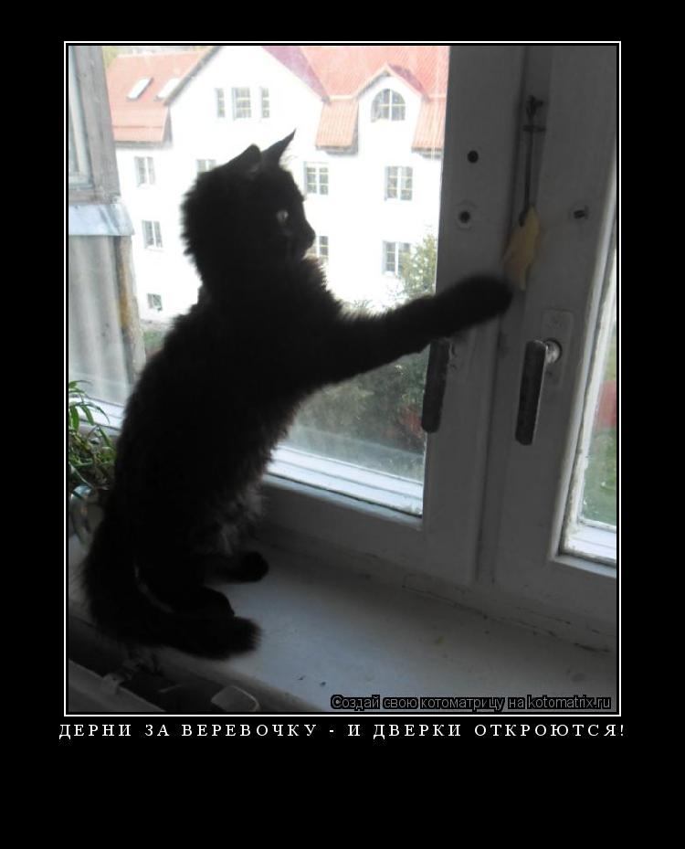 Котоматрица: Дёрни за верёвочку - и дверки откроются! 