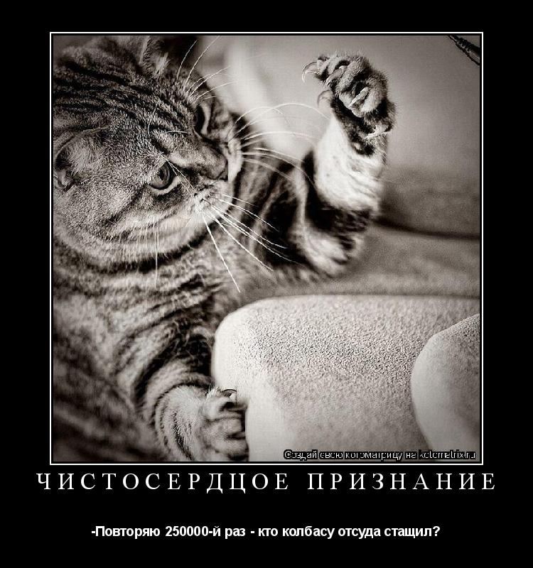 Котоматрица: Чистосердцое признание -Повторяю 250000-й раз - кто колбасу отсуда стащил?