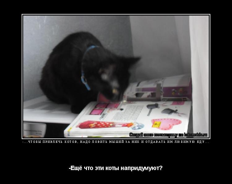Котоматрица: -...Чтобы привлечь котов, надо ловить мышей за них и отдавать им любимую еду...   -Ещё что эти коты напридумуют?
