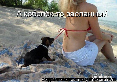 Котоматрица: А кобелёк-то засланный