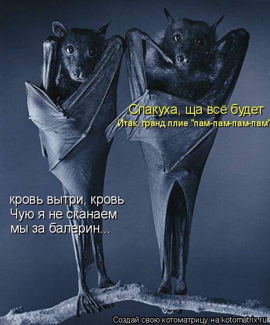 Котоматрица: кровь вытри, кровь Чую я не сканаем мы за балерин... Спакуха, ща всё будет Итак, гранд плие "пам-пам-пам-пам"