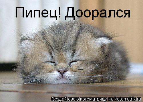 Котоматрица: Пипец! Доорался