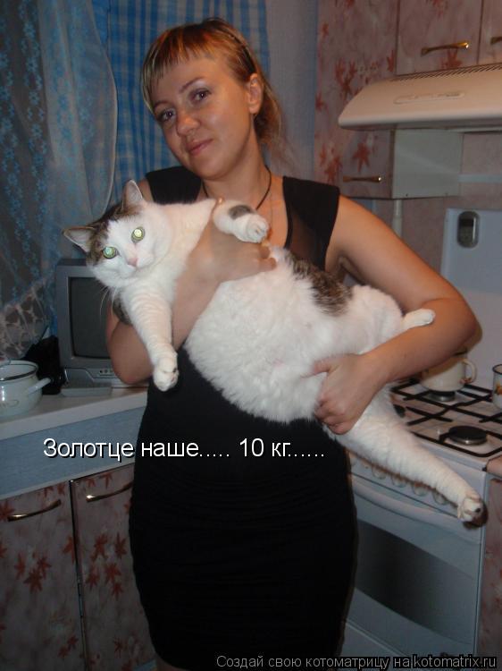 Котоматрица: Золотце наше..... 10 кг......