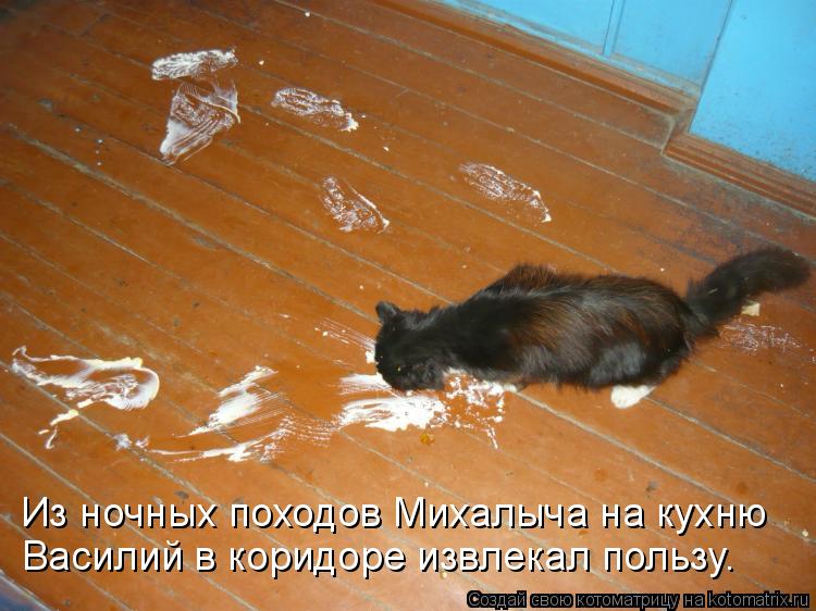 Котоматрица: Из ночных походов Михалыча на кухню Василий в коридоре извлекал пользу.