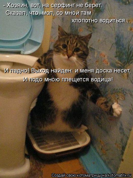 Котоматрица: - Хозяин, вот, на серфинг не берет…   Сказал, что, мол, со мной там  хлопотно водиться... И ладно! Выход найден: и меня доска несет, И подо мною пл