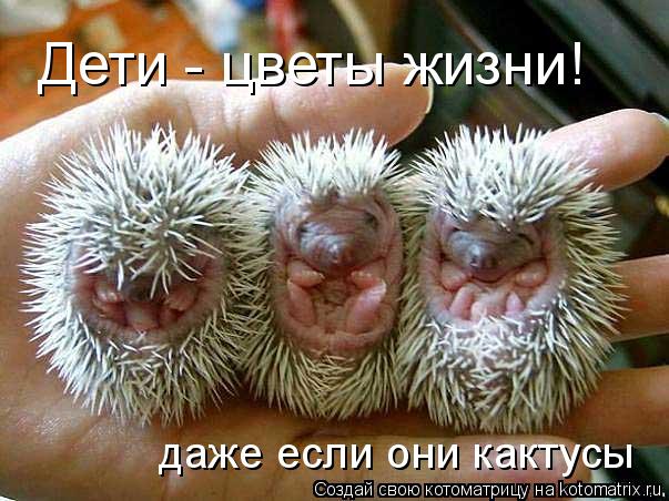 Котоматрица: Дети - цветы жизни! даже если они кактусы