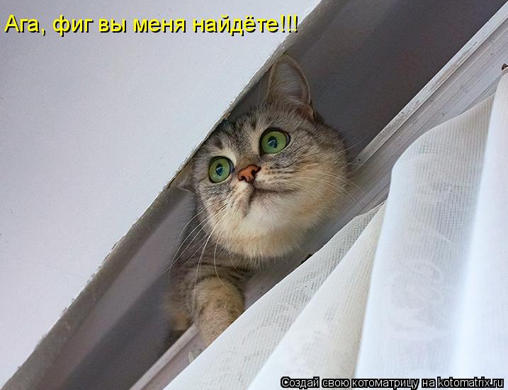 Ага, фиг вы меня найдёте!!!... Котоматрица: Ага, фиг вы меня найдёте!!!