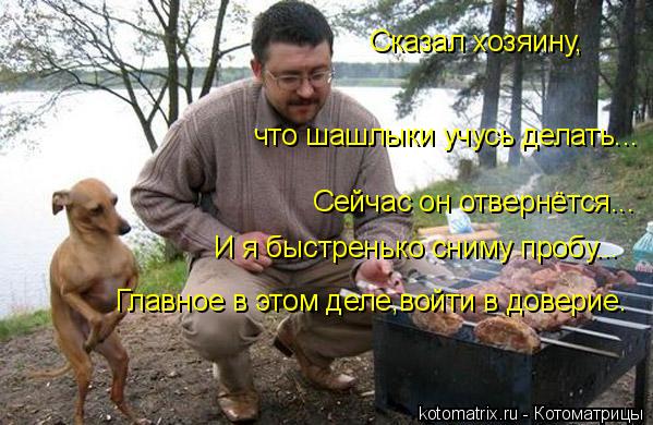 Котоматрица: Сказал хозяину, что шашлыки учусь делать... Сейчас он отвернётся... И я быстренько сниму пробу... Главное в этом деле,войти в доверие.