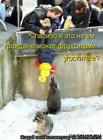 Котоматрица: Спасибо,я это не ем.. граждане,может фруктиками  угостите,а?