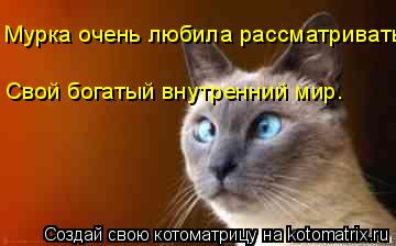 Котоматрица: Мурка очень любила рассматривать Свой богатый внутренний мир.