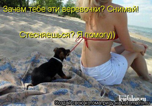 Котоматрица: Зачем тебе эти веревочки? Снимай! Стесняешься? Я помогу))