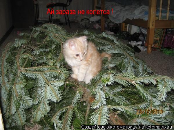 Котоматрица: Ай зараза не колетса !