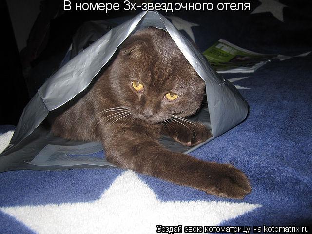 Котоматрица: В номере 3х-звездочного отеля