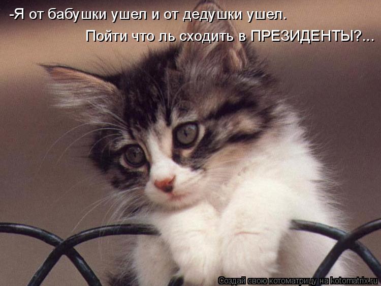 Котоматрица: -Я от бабушки ушел и от дедушки ушел.  Пойти что ль сходить в ПРЕЗИДЕНТЫ?...