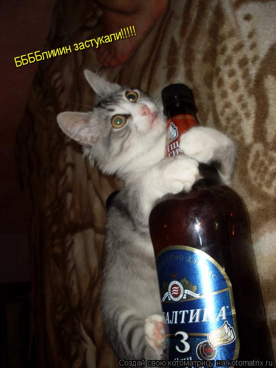 Котоматрица: ББББлииин застукали!!!!!