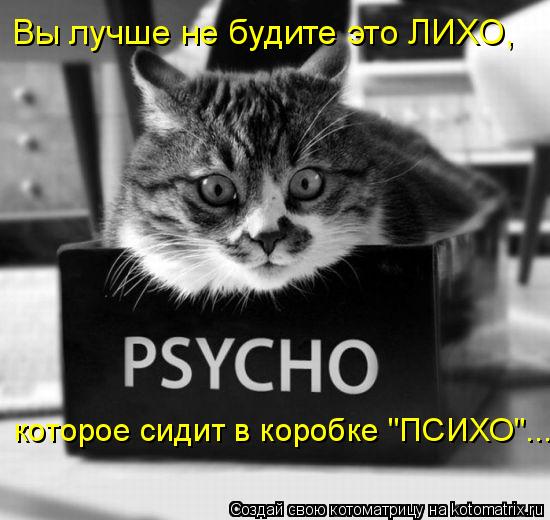 Котоматрица: Вы лучше не будите это ЛИХО,  которое сидит в коробке "ПСИХО"...
