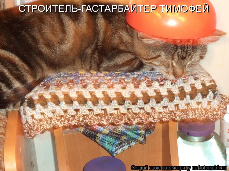 СТРОИТЕЛЬ-ГАСТАРБАЙТЕР ТИМОФЕЙ... Котоматрица: СТРОИТЕЛЬ-ГАСТАРБАЙТЕР ТИМОФЕЙ