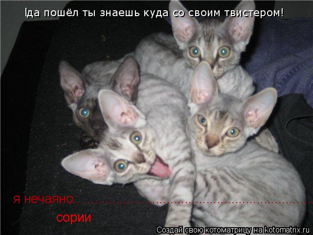 Котоматрица: lда пошёл ты знаешь куда со своим твистером! ! я нечаяно....................................  я нечаяно...............................................