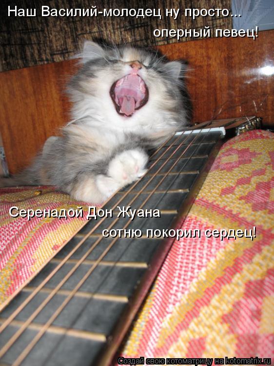 Котоматрица: Наш Василий-молодец ну просто...  оперный певец! Серенадой Дон Жуана сотню покорил сердец!