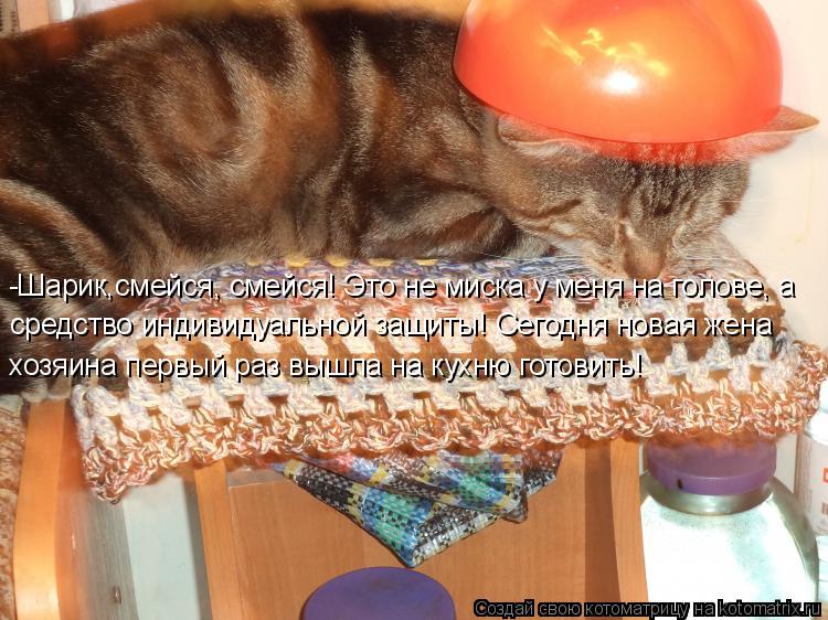 Котоматрица: -Шарик,смейся, смейся! Это не миска у меня на голове, а средство индивидуальной защиты! Сегодня новая жена хозяина первый раз вышла на кухню 
