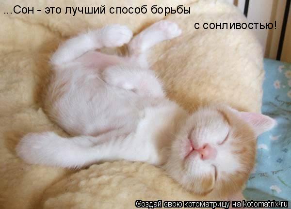 Котоматрица: ...Сон - это лучший способ борьбы с сонливостью!