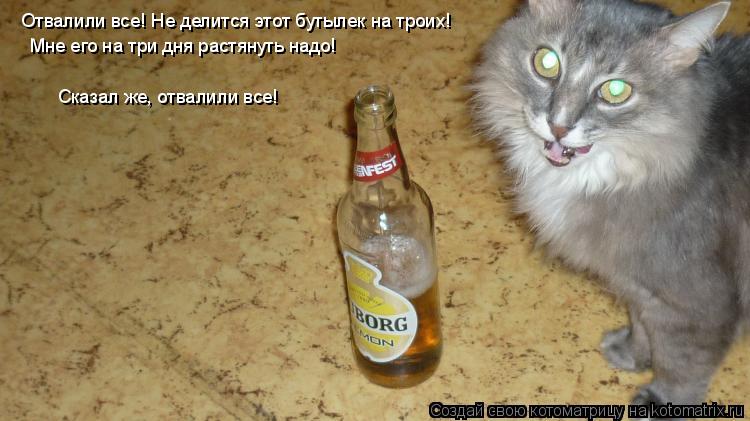 Котоматрица: Отвалили все! Не делится этот бутылек на троих!   Мне его на три дня растянуть надо!  Сказал же, отвалили все!