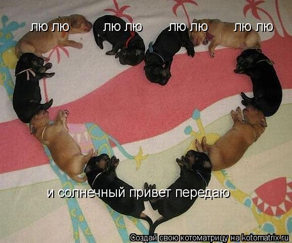Котоматрица: лю лю         лю лю       лю лю       лю лю и солнечный привет передаю