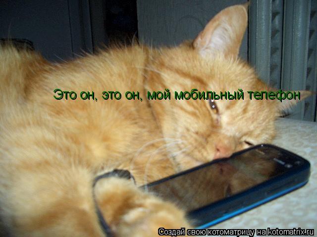 Котоматрица: Это он, это он, мой мобильный телефон