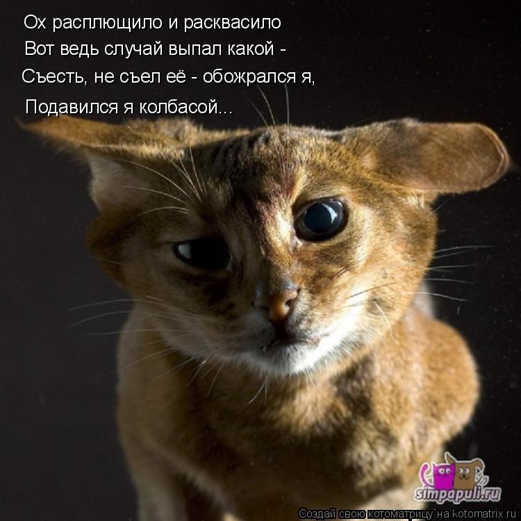 Котоматрица: Вот ведь случай выпал какой - Подавился я колбасой... Ох расплющило и расквасило Съесть, не съел её - обожрался я,