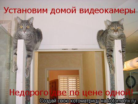 Котоматрица: Установим домой видеокамеры Недорого!две по цене одной!