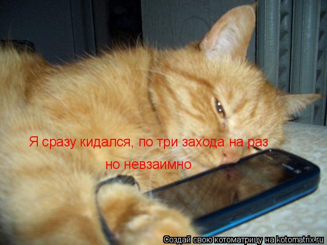 Котоматрица: Я сразу кидался, по три захода на раз но невзаимно