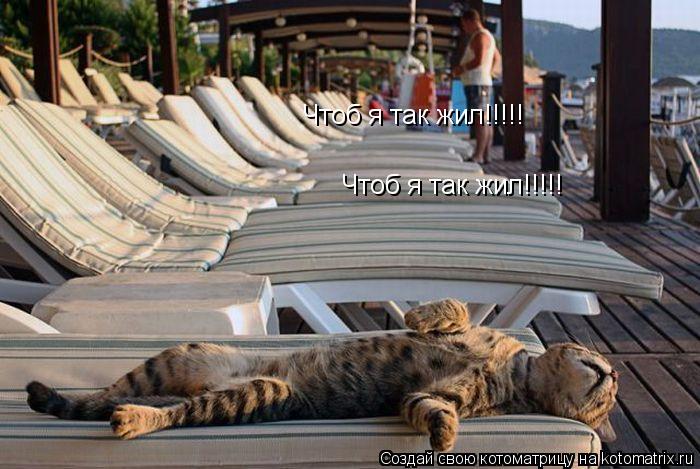 Котоматрица: Чтоб я так жил!!!!! Чтоб я так жил!!!!!