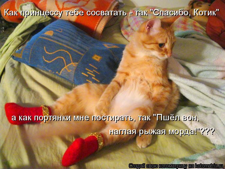 Котоматрица: наглая рыжая морда!"??? Как принцессу тебе сосватать - так "Спасибо, Котик" а как портянки мне постирать, так "Пшёл вон,
