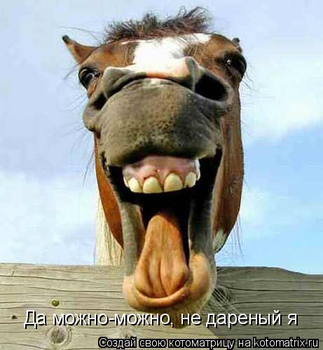 Котоматрица: Да можно-можно, не дареный я