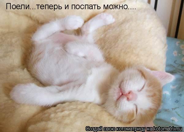 Котоматрица: Поели...теперь и поспать можно....