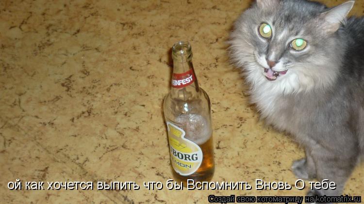 Котоматрица: ой как хочется выпить что бы Вспомнить Вновь О тебе