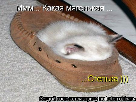 Ммм... Какая мягенькая ... ...Стелька )))... Котоматрица: Ммм... Какая мягенькая ... ...Стелька )))