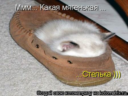 Котоматрица: Ммм... Какая мягенькая ... ...Стелька )))